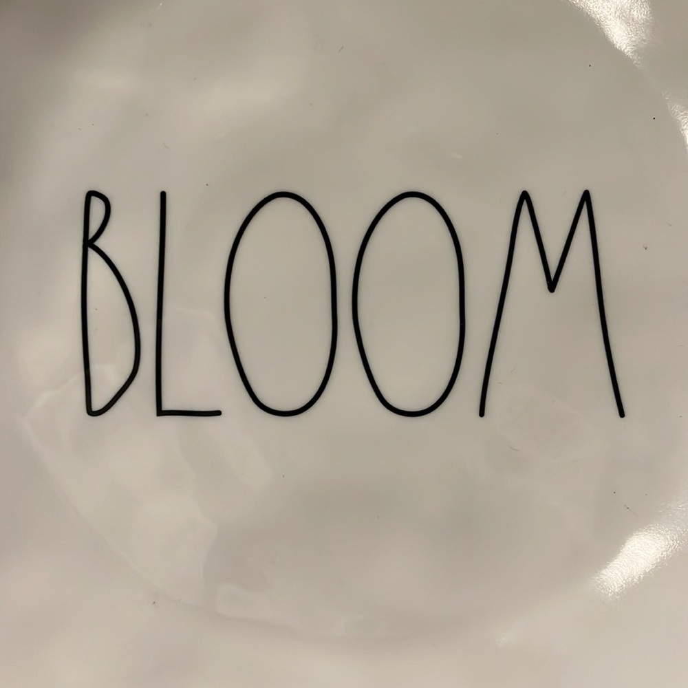 NWOT Rae Dunn ‘Bloom & Spring’ Plate Set - Picture 4 of 5